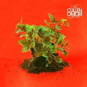 Cullen Omori - New Misery (Loser Edition) (Clear Coloured) (LP)