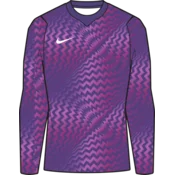 Nike Dres z dolgimi rokavi Dri-FIT Gardien VI Goalkeeper Long Sleeve