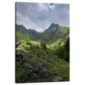 shumee Platno s tiskom Narava Zaraščene gore 40x60 cm