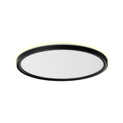 Prezent 27312 - LED plafonsko svetlo za kupatilo CORDIA LED/18W/230V IP54 crno