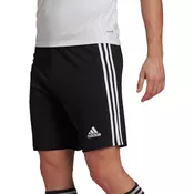Adidas Hlače obutev za trening črna 170 - 175 cm/M Squadra 21