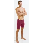Mens swimsuit finis jammer solid cabernet 28