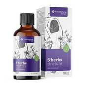 6 zelišč – tinktura, 100 ml