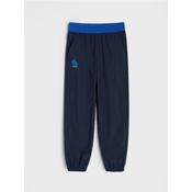 Sinsay - Planinarske pantalone Active - mornarsko