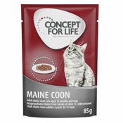 Concept for Life Maine Coon Adult (ragu) - 48x85 g