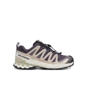 Salomon XA PRO 3D V9 GTX W, ženske patike za trail trcanje, ljubicasta L47744700