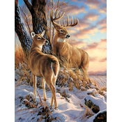 Sunsout - Puzzle Escapade 500XXL - 500 kosov