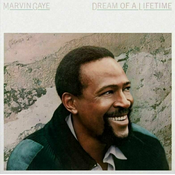 Marvin Gaye ?– Dream Of A Lifetime,
