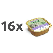 Oasy Tasty Paté Kitten piščanec, paté v posodici - 100 g 16 x 100 g