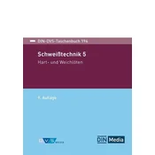 DIN-DVS-Taschenbuch 196