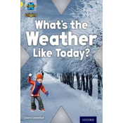 Project X Origins: Yellow Book Band, Oxford Level 3: Weather: Whats the Weather Like today?