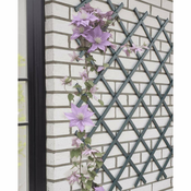 Nature Nature Oporna mreža za rastline 50x150 cm PVC antracit, (21072653)
