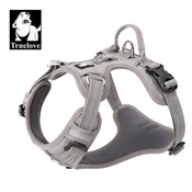 Truelove Oprsnica LED - SIVA M