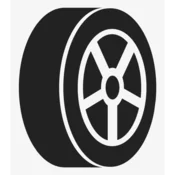 Hankook zimske gume Winter i*cept iON X IW01A 255/40R21 102V XL