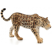 Moj Leopard