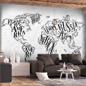 Samoljepljiva foto tapeta - Retro Continents (Grey) 392x280