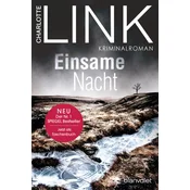 Einsame Nacht