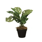 DekorDom Veštacko cvece u saksiji Monstera Calathea Zd-241325, 36 cm
