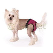 Tommi Hotpante Fun Colours XXL