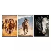 Zvezek Street Horses A4 črte z robom