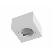 LED Labs Stropna nadometna svetilka CARO - bela