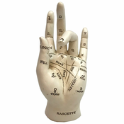 Dekoracija Palmistry - U4943R0