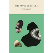 Rings of Saturn