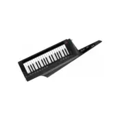 Korg RK-100S 2 BK