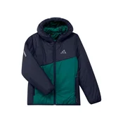 ADIDAS TERREX Zunanja jakna smaragd / črna