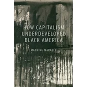 How Capitalism Underdeveloped Black America