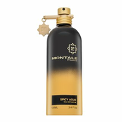 Montale Spicy Aoud parfumirana voda unisex 100 ml