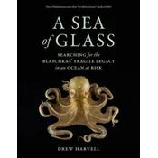 Sea of Glass