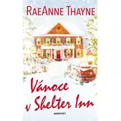 Vánoce v Shelter Inn