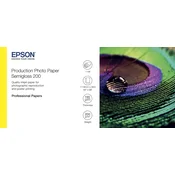 EPSON Production Photo Paper Semigloss 200 44 x30m