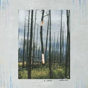 S. Carey - Watercress (EP)