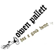 Owen Pallett - Has A Good Home (Reissue) (LP)