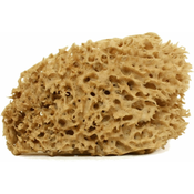 Cose della Natura Honeycomb-naravna spužva-Medium, 8-10 g