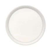 LED stropna svetilka LED/18W/230V 3000/4000/6500K, premer 23 cm, bela