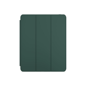 NEXT ONE Rollcase za iPad Pro 11 M4 - Green