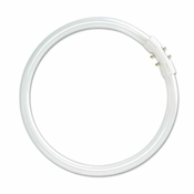 OSRAM FC 22W-840 2GX13