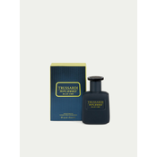 TRUSSARDI toaletna voda za muškarce Riflesso Blue Vibe, 30ml