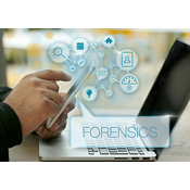 Computer Forensic examination and analysis