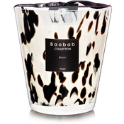Baobab Black Pearls dišeča sveča  16 cm