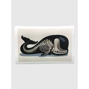 Nychos Sperm Whale Skeleton Fine Art Print multicolor
