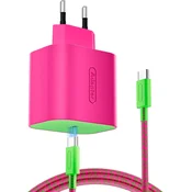 USB-C 60W napajalnik zeleno-vijolične barve za Nintendo Switch 1 & 2 & mobilne telefone TPC