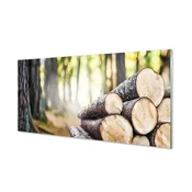 tulup.si Zidna obloga za kuhinju Les gozd narava 100x50 cm
