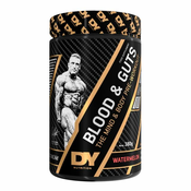 DY Nutrition Blood and Guts, Ukus Lubenica, 380g
