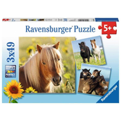 Ravensburger Puzzle Poniji 3x49 kosov