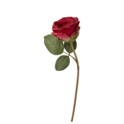 Lene Bjerre Rose FLORA 20 cm rdeča