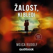 AUDIBOOK Avdio knjiga: Žalost, ki bledi